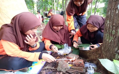 Survival